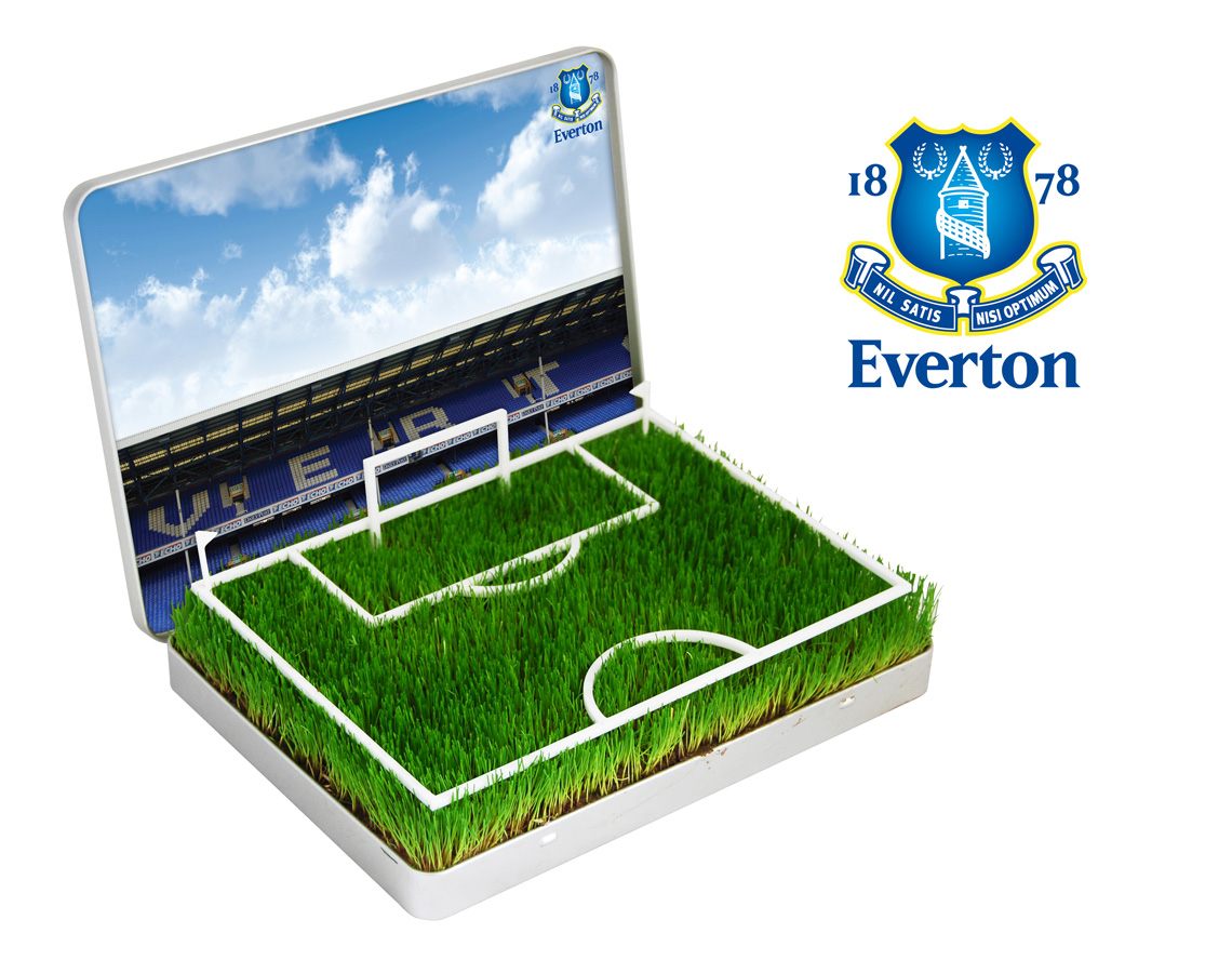 Grow Your Own Everton Goodison Park Pitch