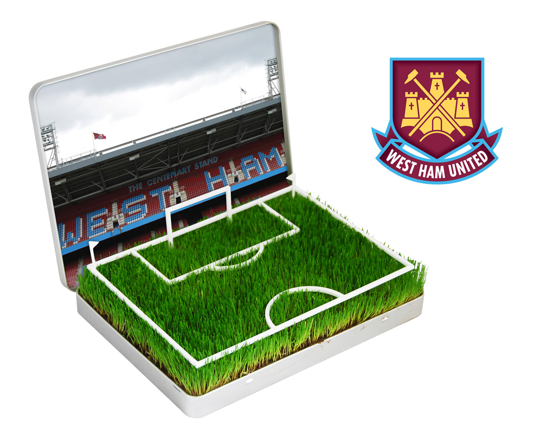 Grow Your Own West Ham Upton Park Pitch