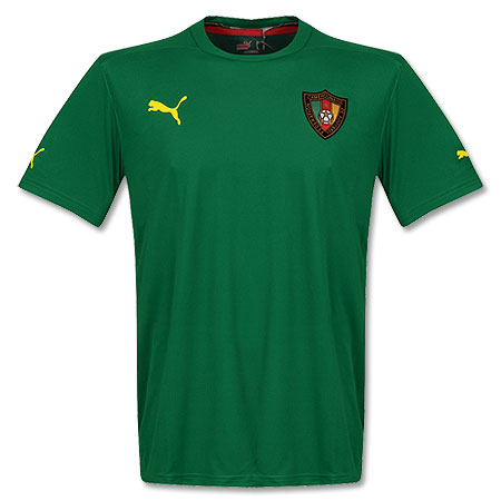 08-09 Cameroon Training Tee (green)