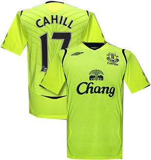 08-09 Everton 3rd (Cahill 17)