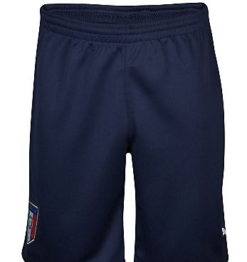 2012-13 Italy Puma Training Shorts (Navy)