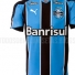 New 2010 Puma Gremio Home Shirt